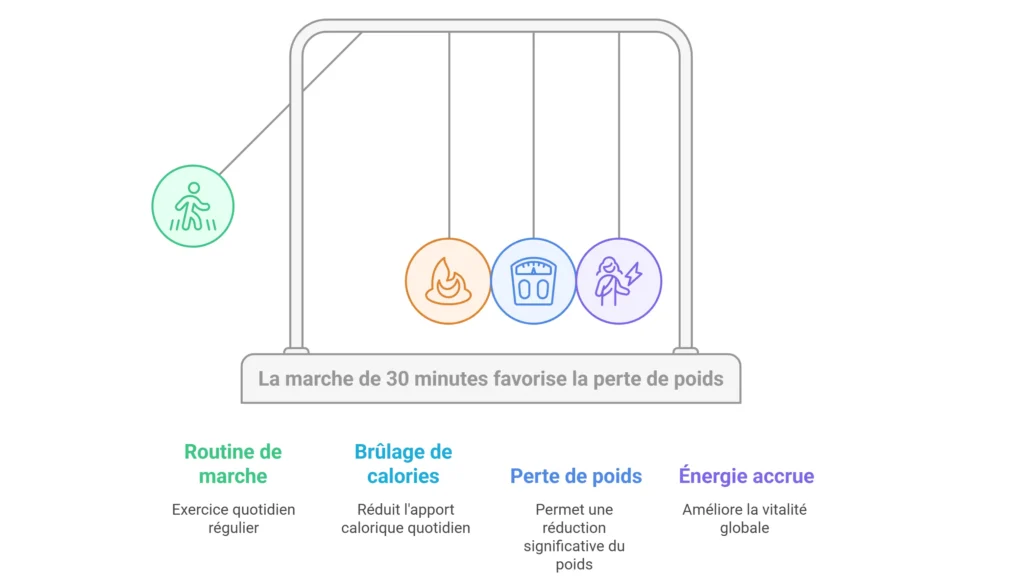 Peut-on vraiment perdre du poids en marchant 30 minutes par jour ?