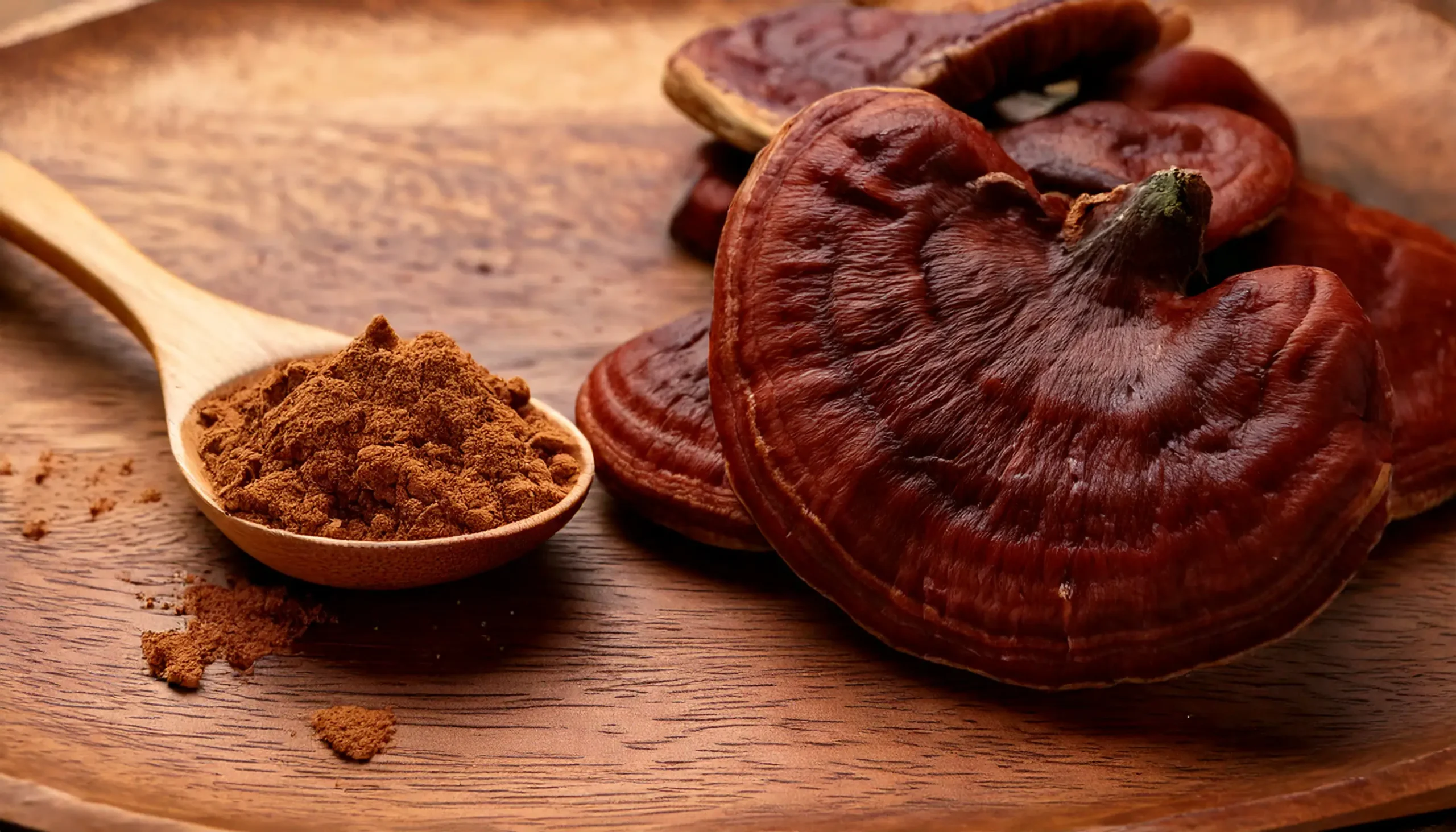 Effets Indésirables du Reishi : Tout Ce Que Vous Devez Savoir