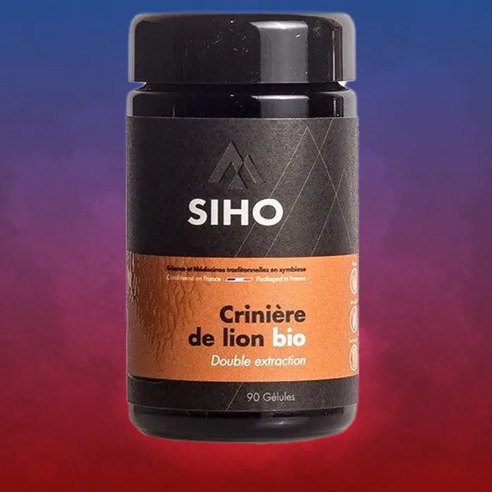 Consomacteurs - Lions mane SIHO Consomacteurs - Lions mane SIHO