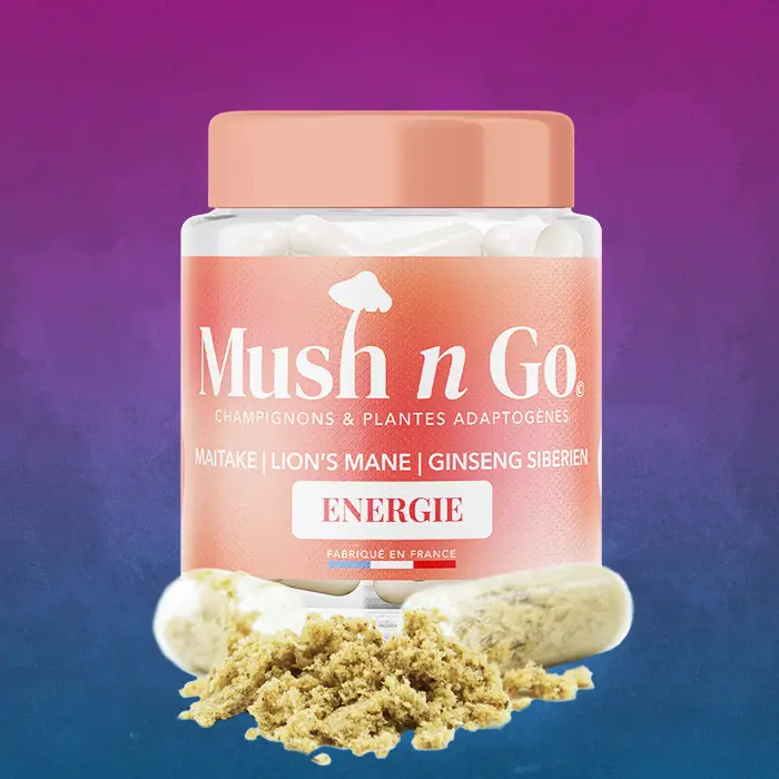 Mushngo Energie 01 MushNGo Énergie : Cordyceps, Maca et Ginseng