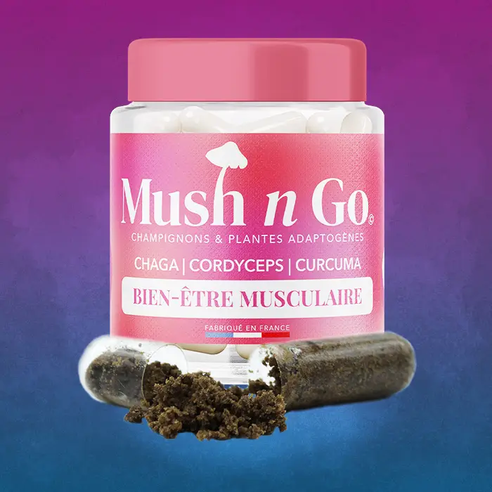 Mushngo Recuperation musculaire consomacteurs Mushngo Recuperation musculaire consomacteurs