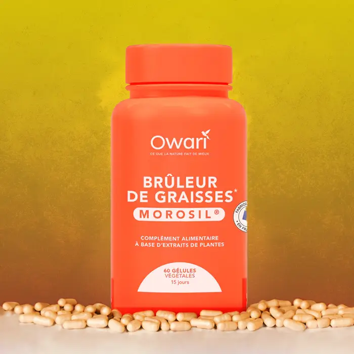 Owari - Bruleur graisse 01